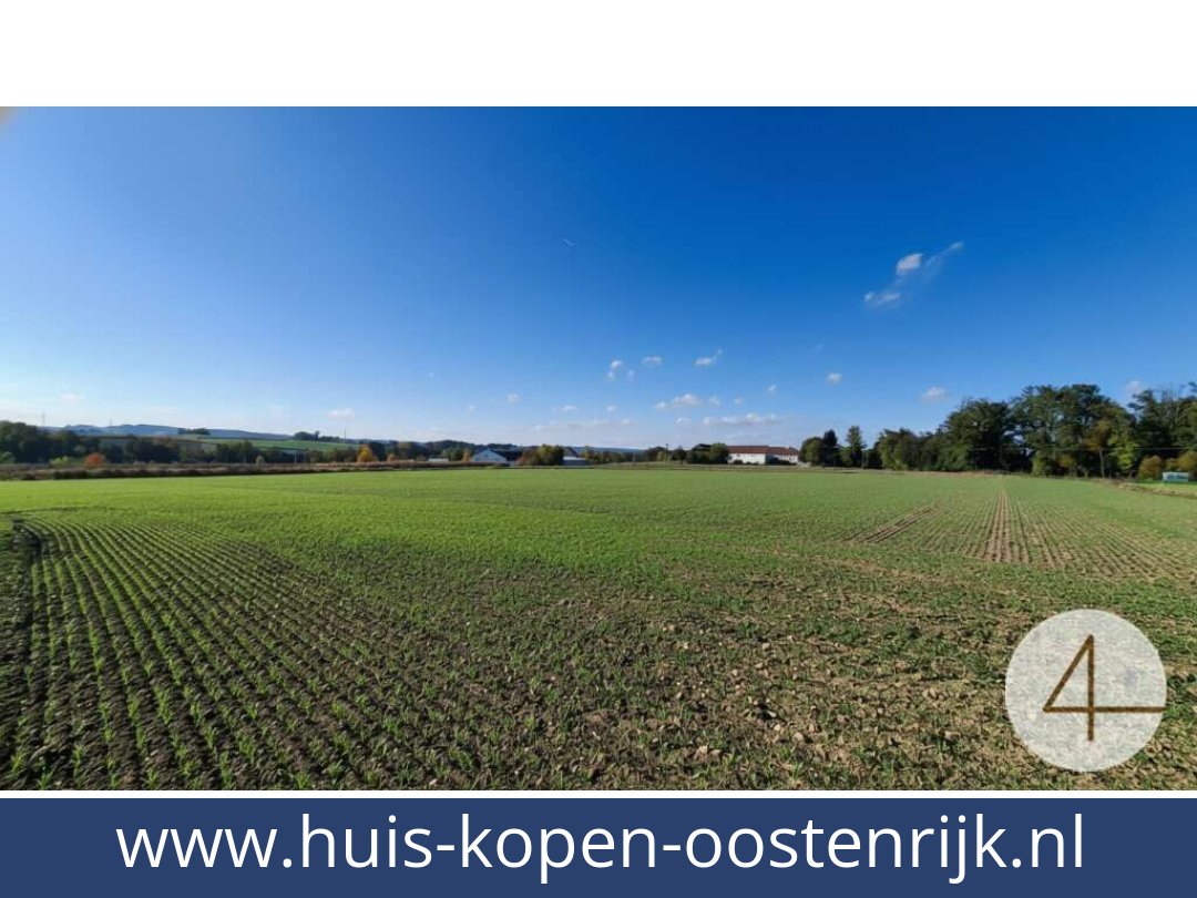 huis-kopen-oostenrijk-ried im innkreis-4910-20260410070718-0061101006.jpg huis-kopen-oostenrijk-ried im innkreis-4910-20260410070718-0061101006.jpg
